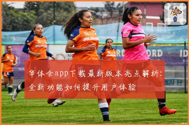 华体会app下载最新版本亮点解析：全新功能如何提升用户体验