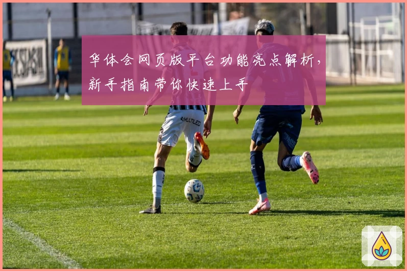 华体会网页版平台功能亮点解析，新手指南带你快速上手